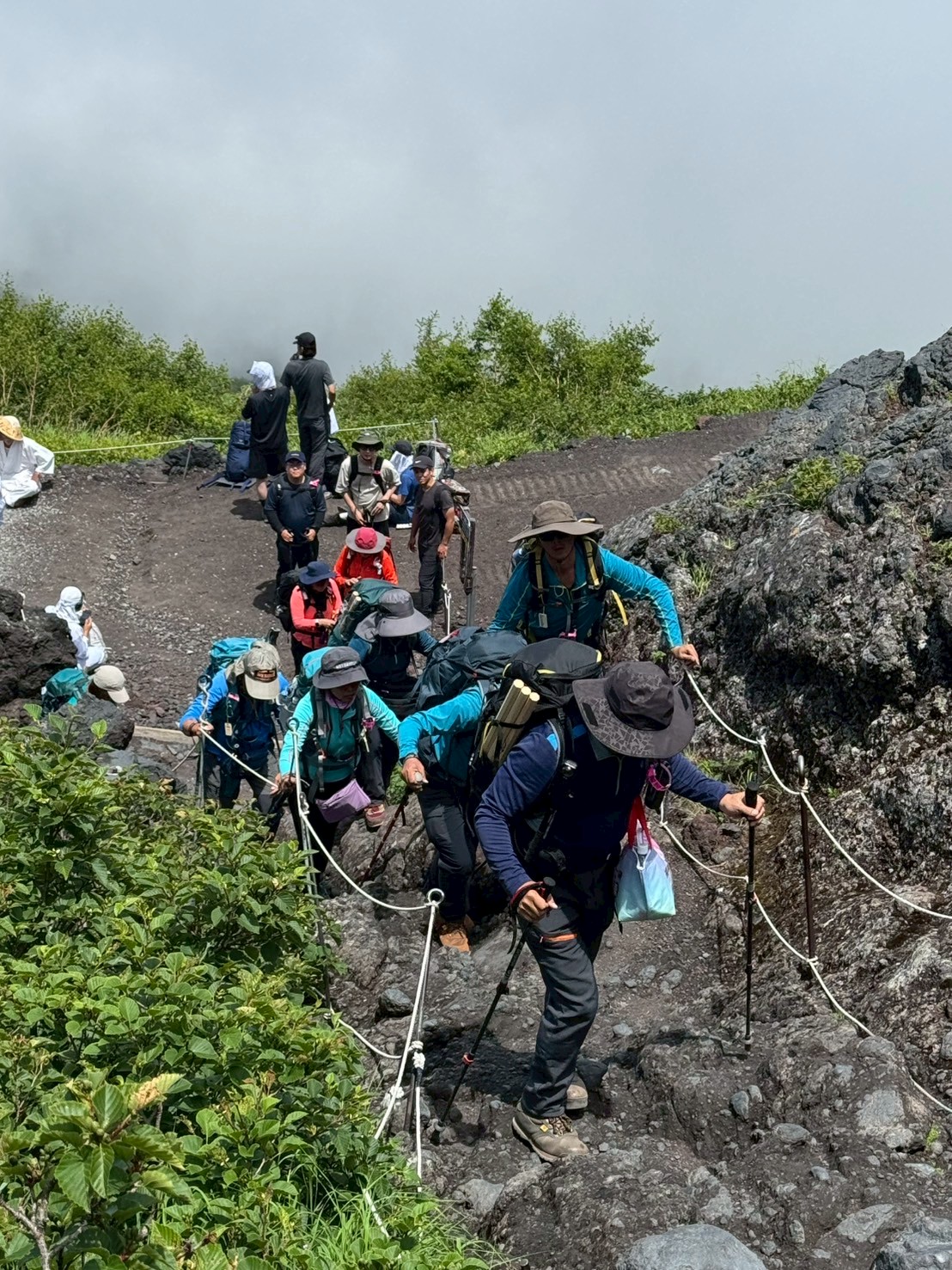 LINE_ALBUM_20250716-0720-小羊_250723_103