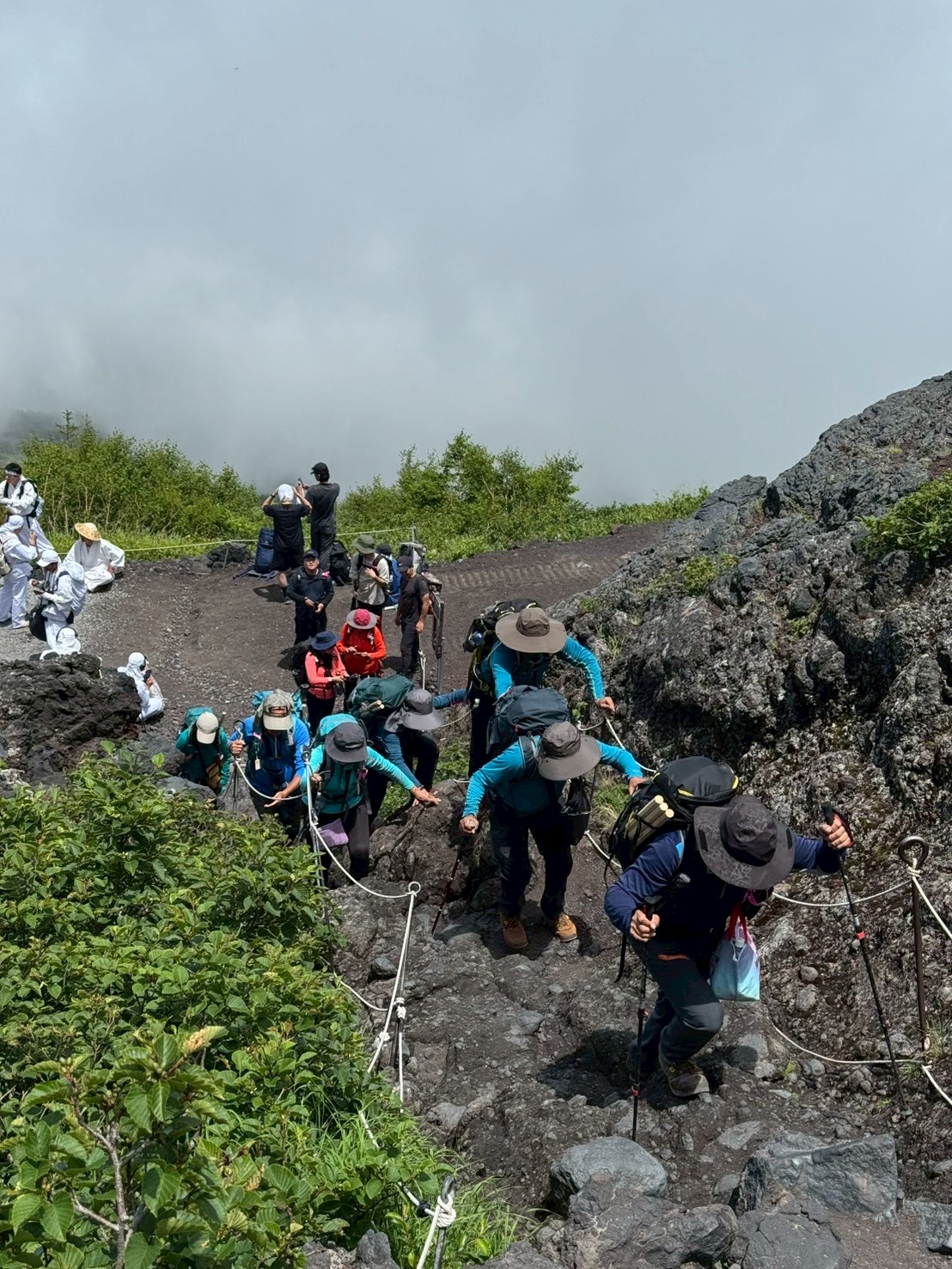 LINE_ALBUM_20250716-0720-小羊_250723_104