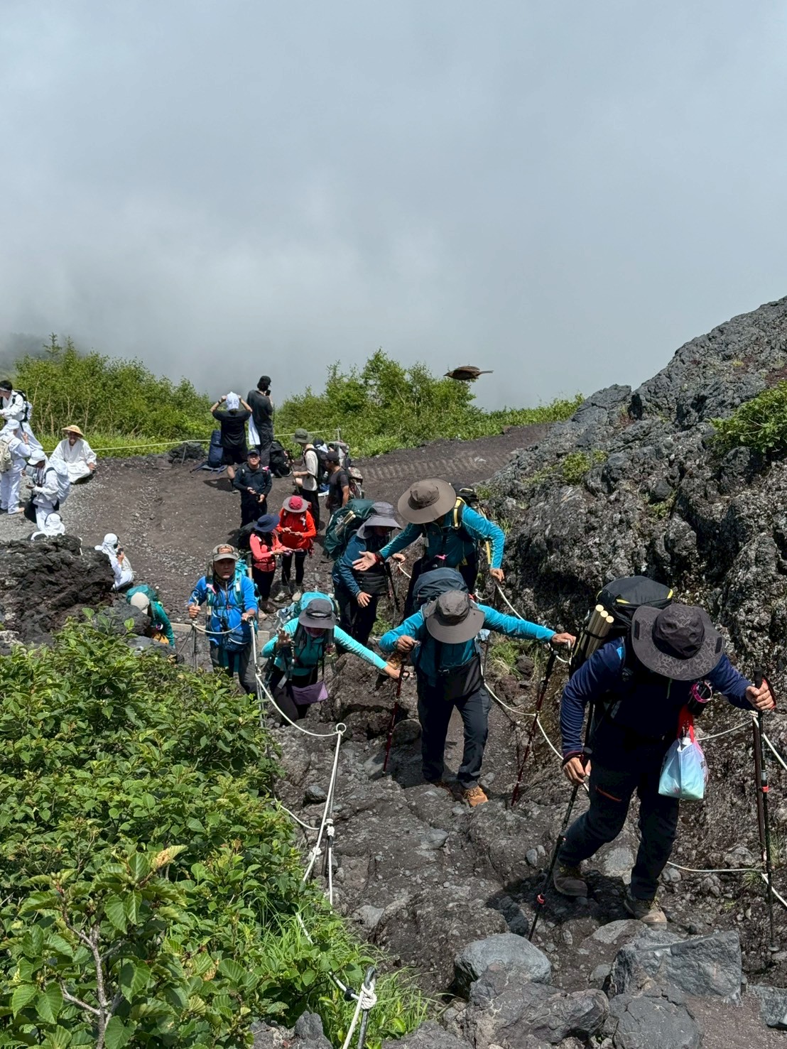 LINE_ALBUM_20250716-0720-小羊_250723_105
