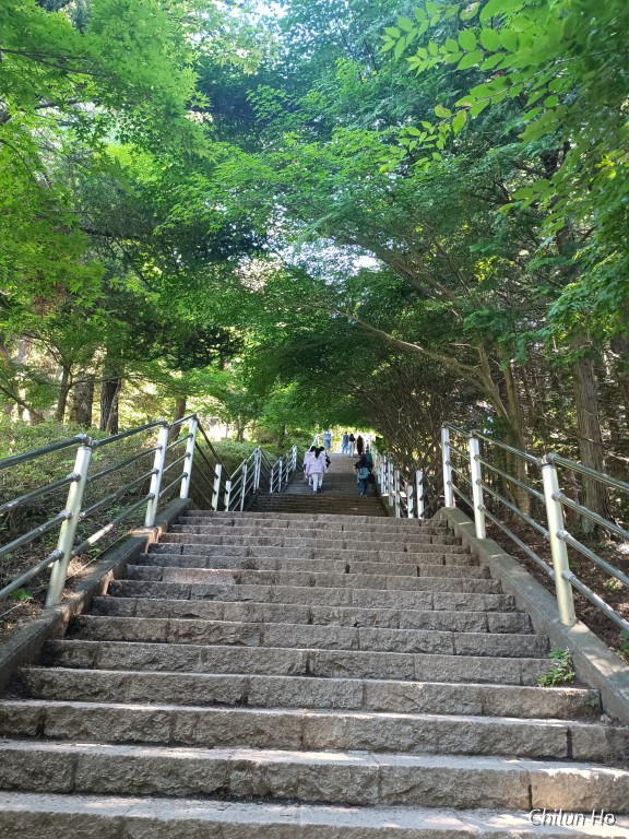 新西原四丁目