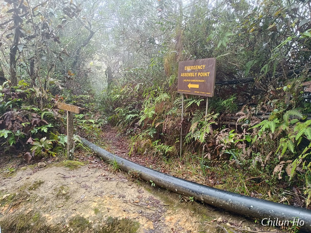 Jalan Tamparuli-Kundasang