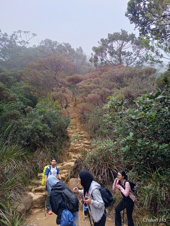 Ranau Trail