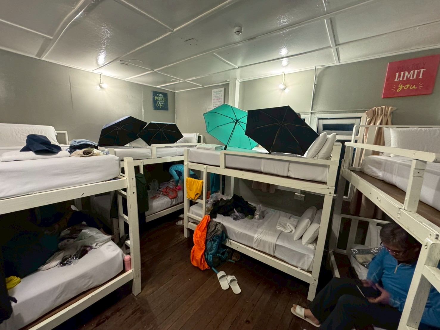LINE_ALBUM_20250914-0919-小羊_250920_32