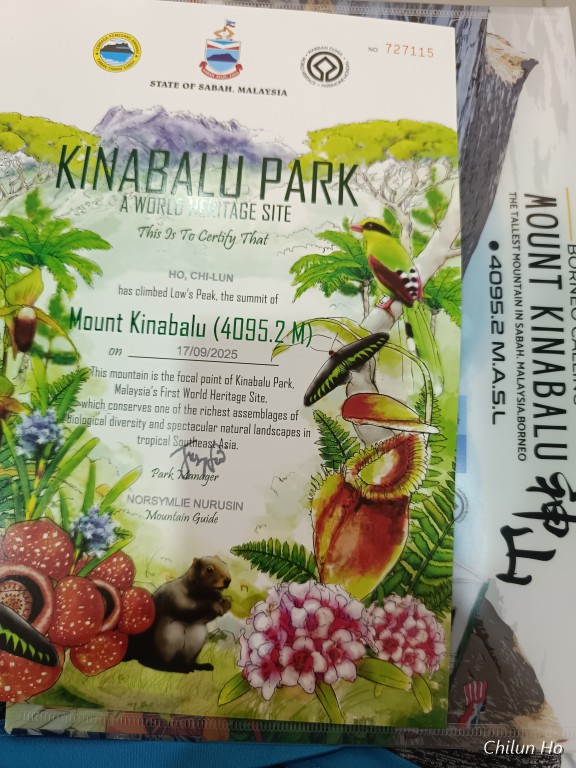 Tapak Pasar Malam