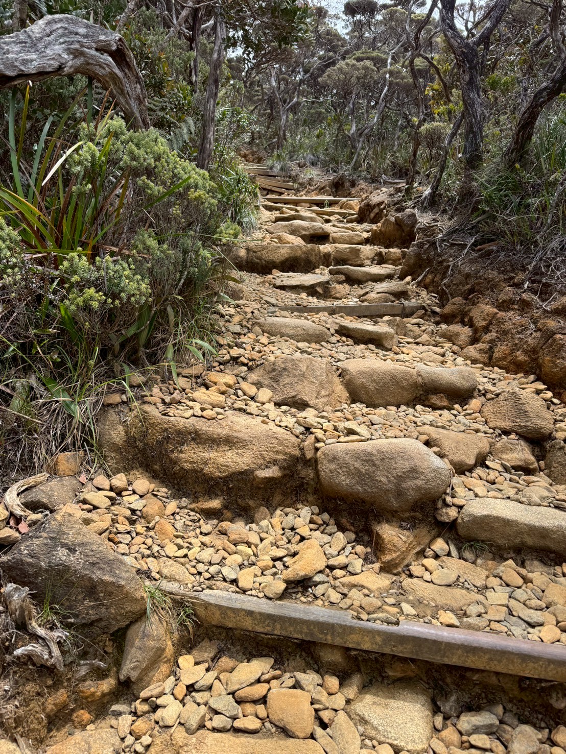 LINE_ALBUM_20250914-0919-小羊_250920_60
