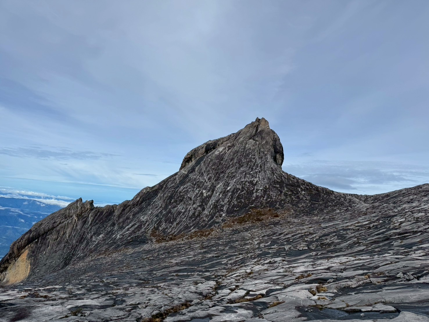 LINE_ALBUM_20250914-0919-小羊_250920_81