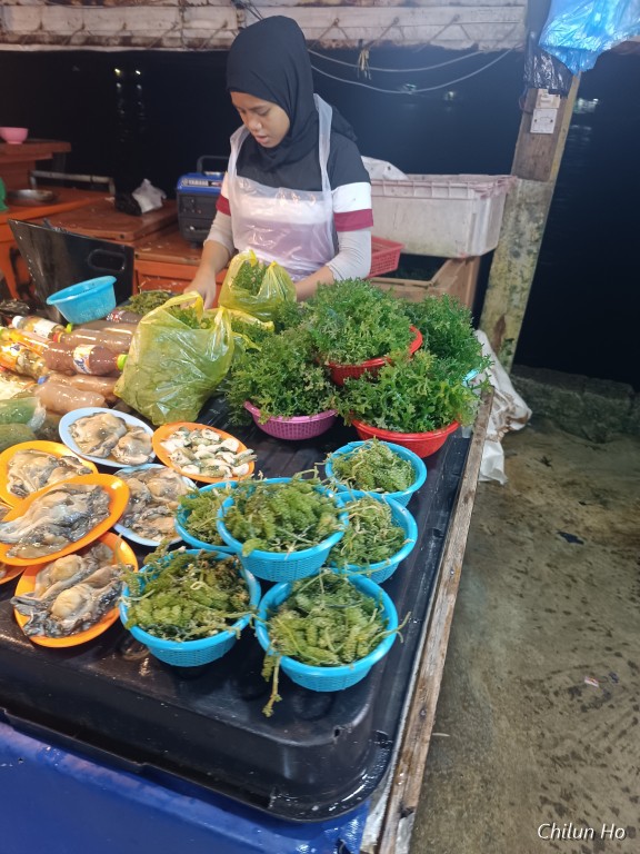 Tapak Pasar Malam