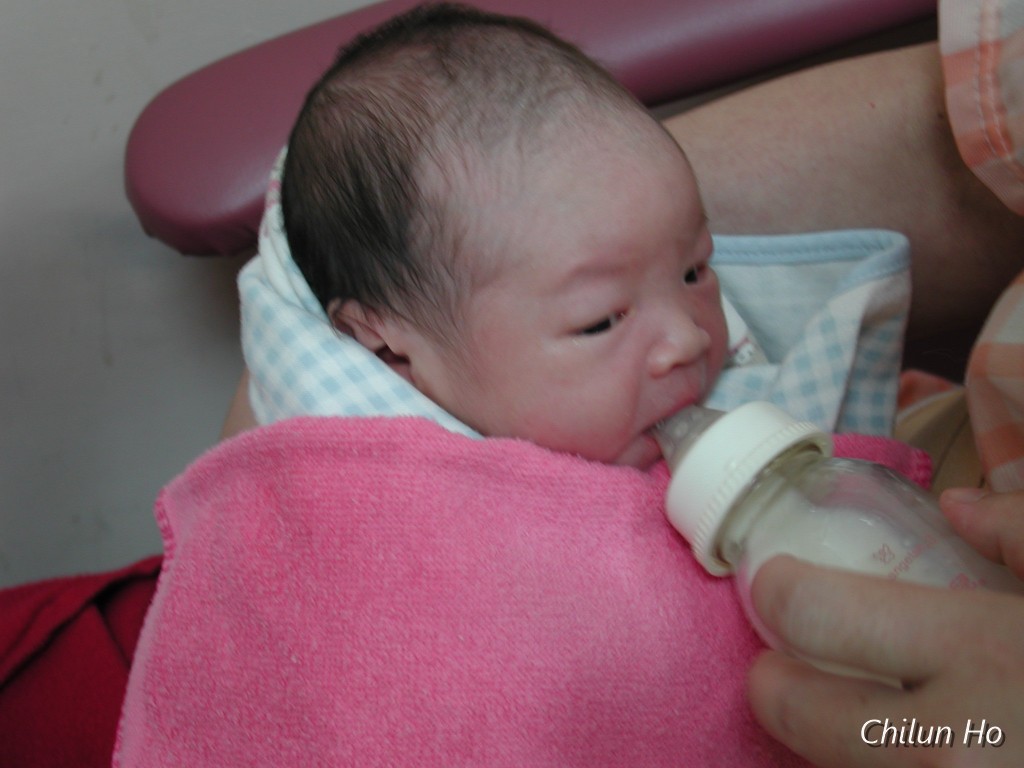艾蓮初生見面日
