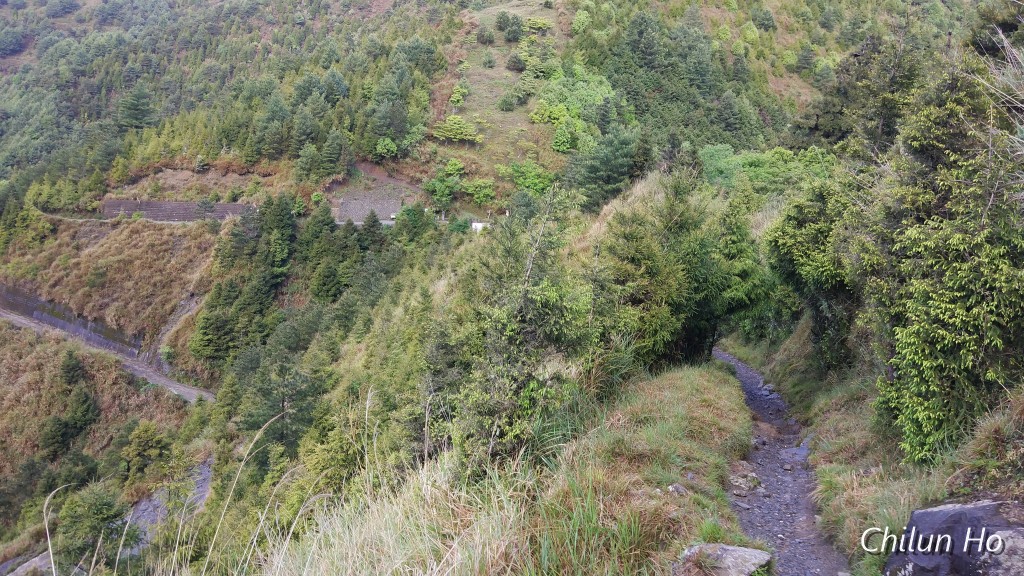 新中橫公路水里玉山線