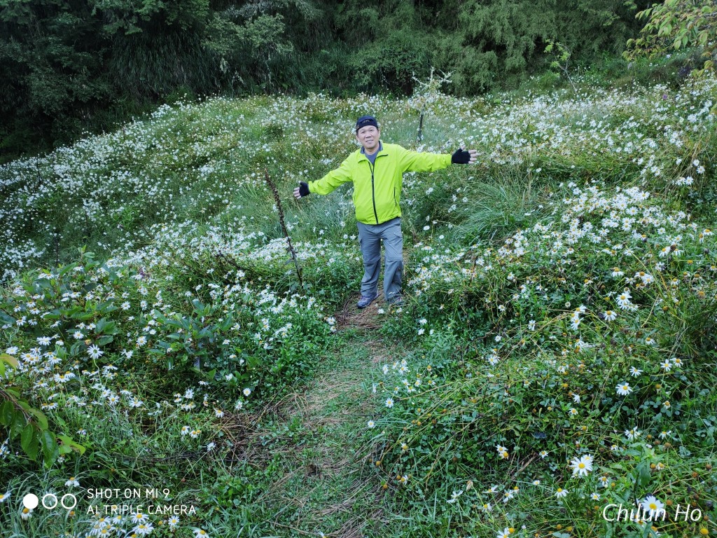 楠溪林道