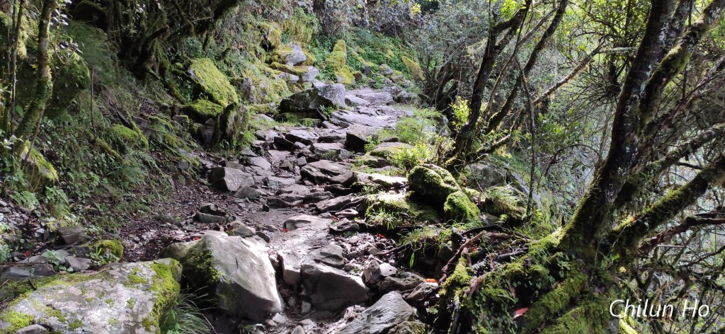 玉山步道