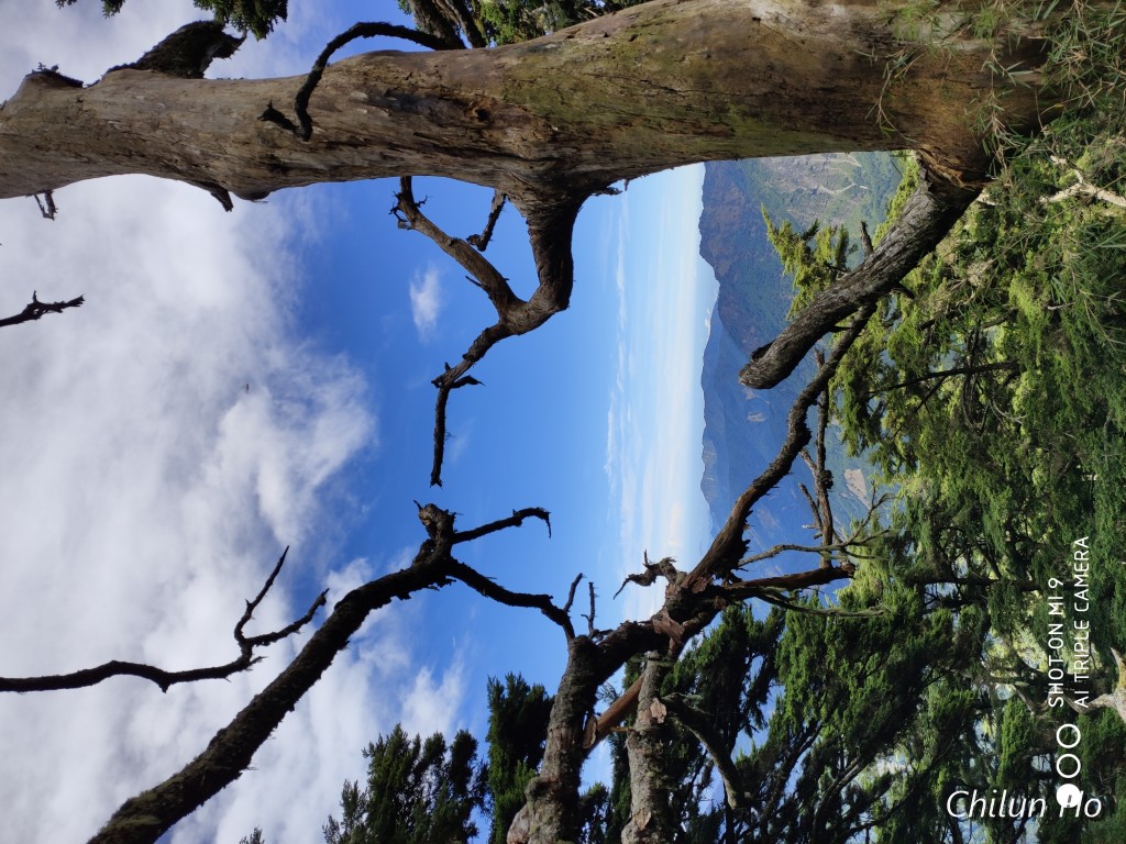玉山步道