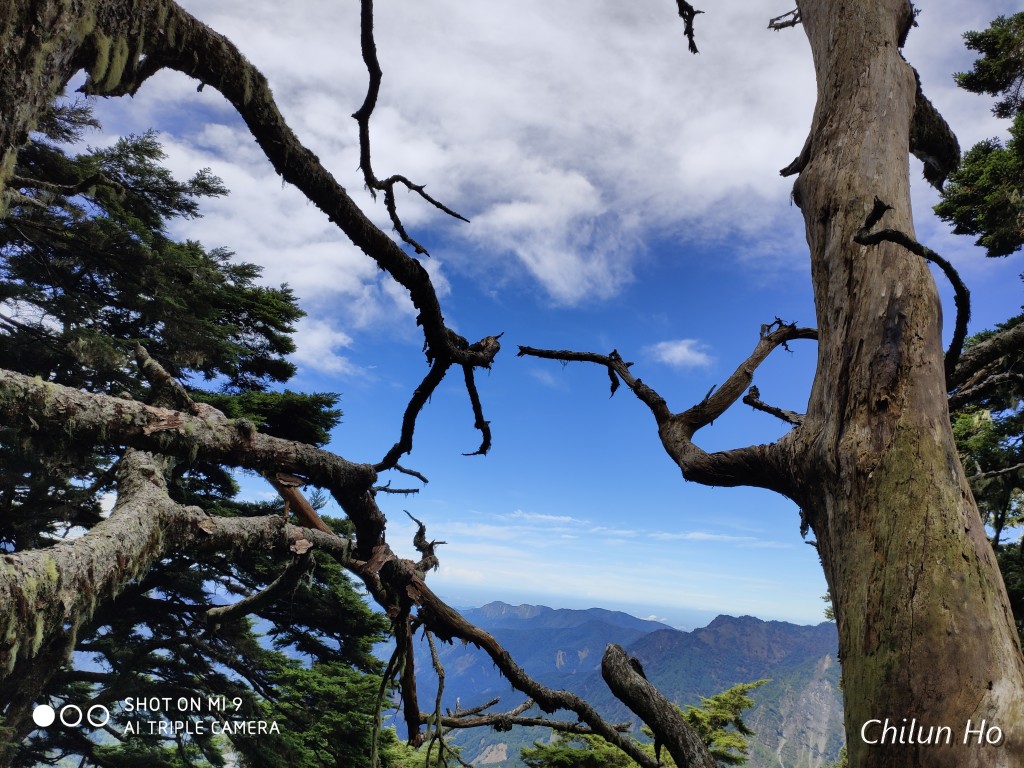 玉山步道