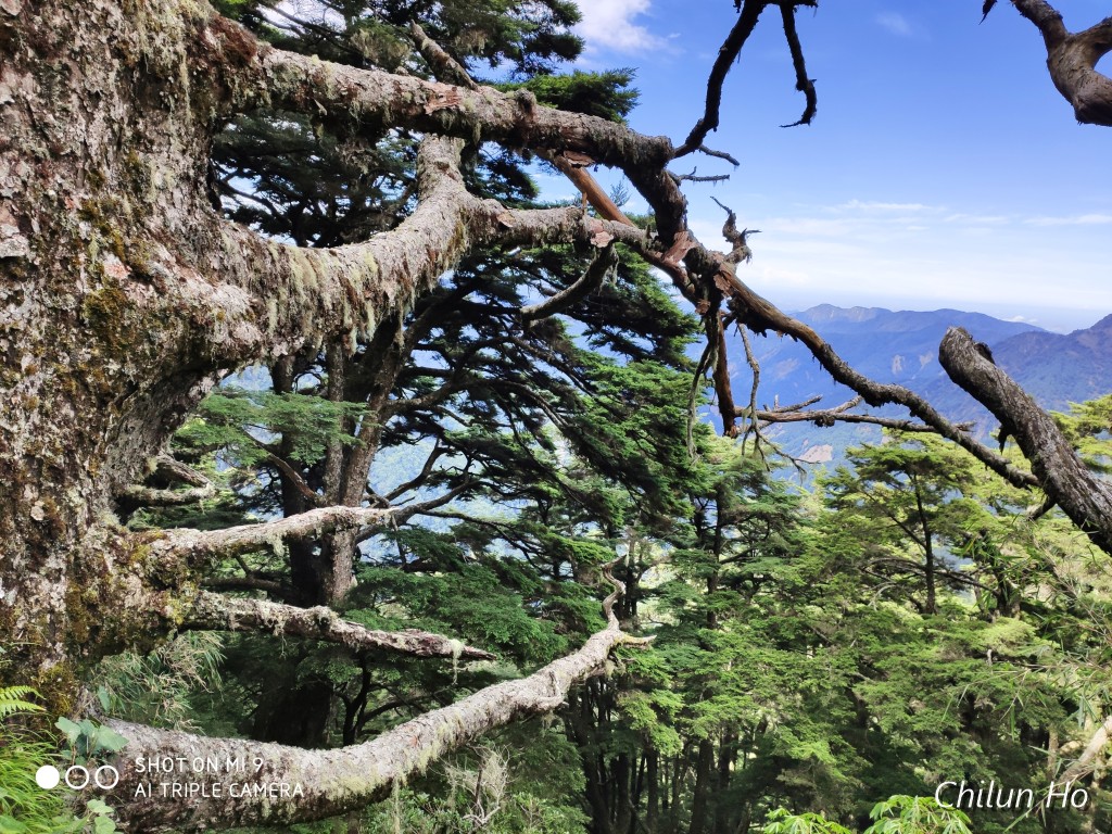 玉山步道