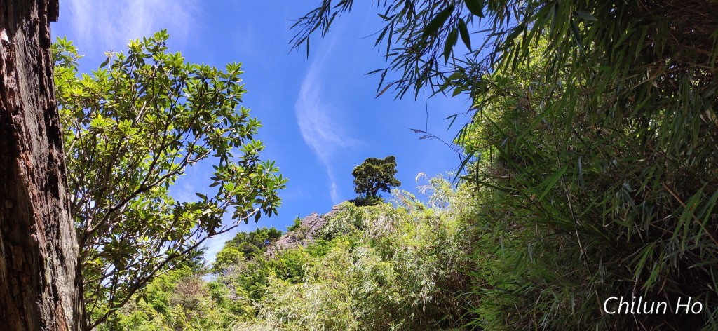 玉山步道