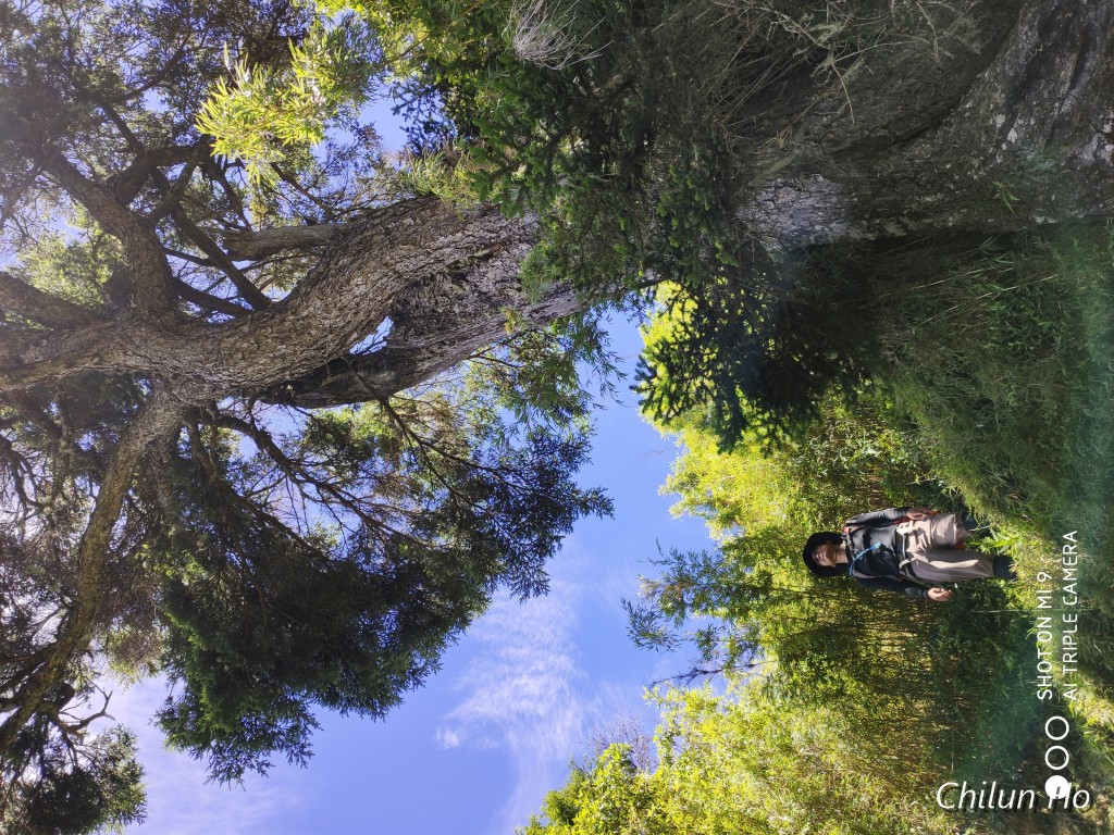 玉山步道