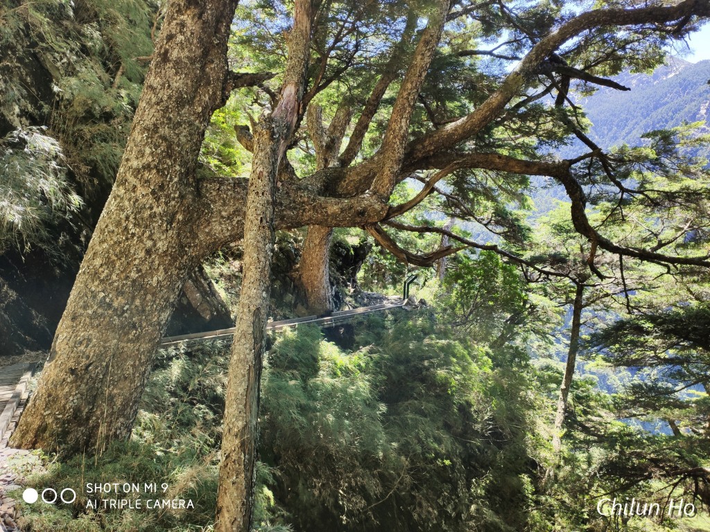 玉山步道