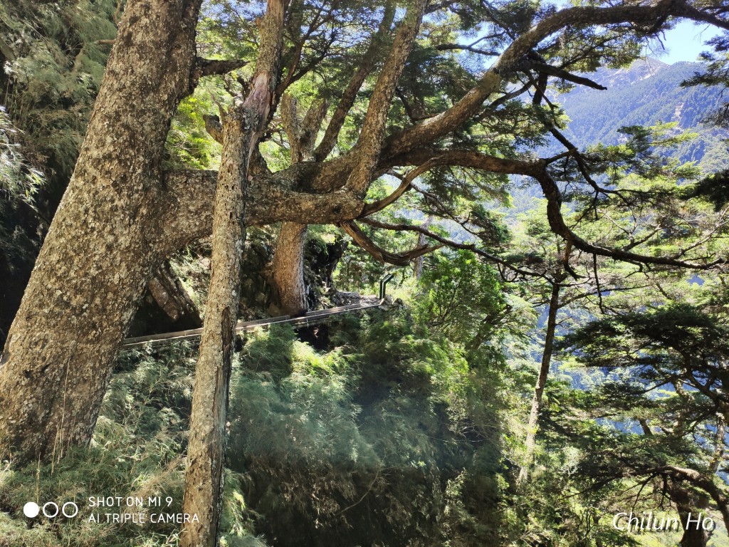 玉山步道