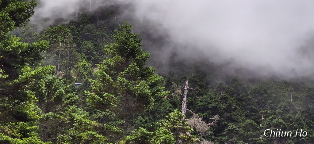 玉山步道
