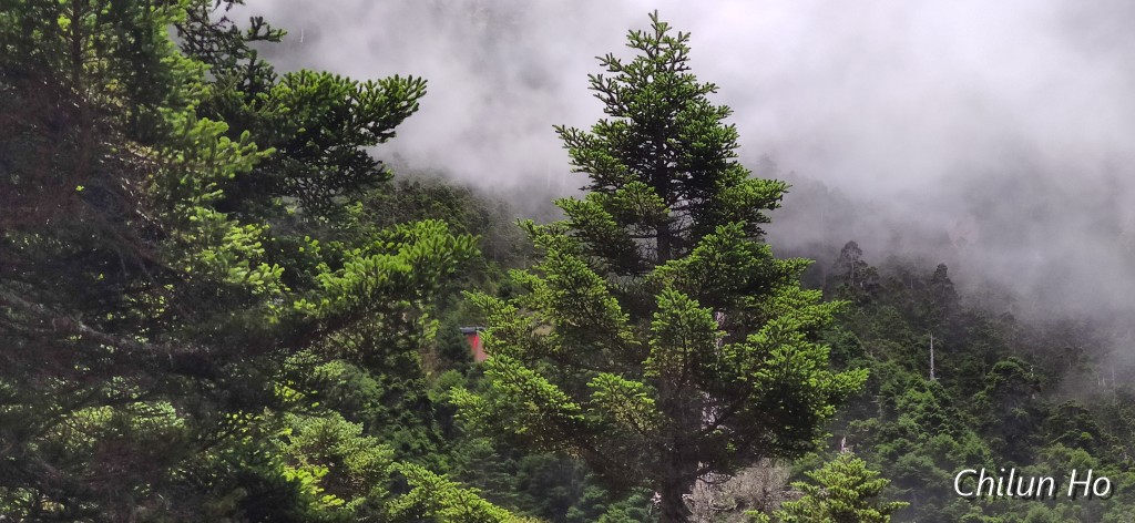 玉山步道
