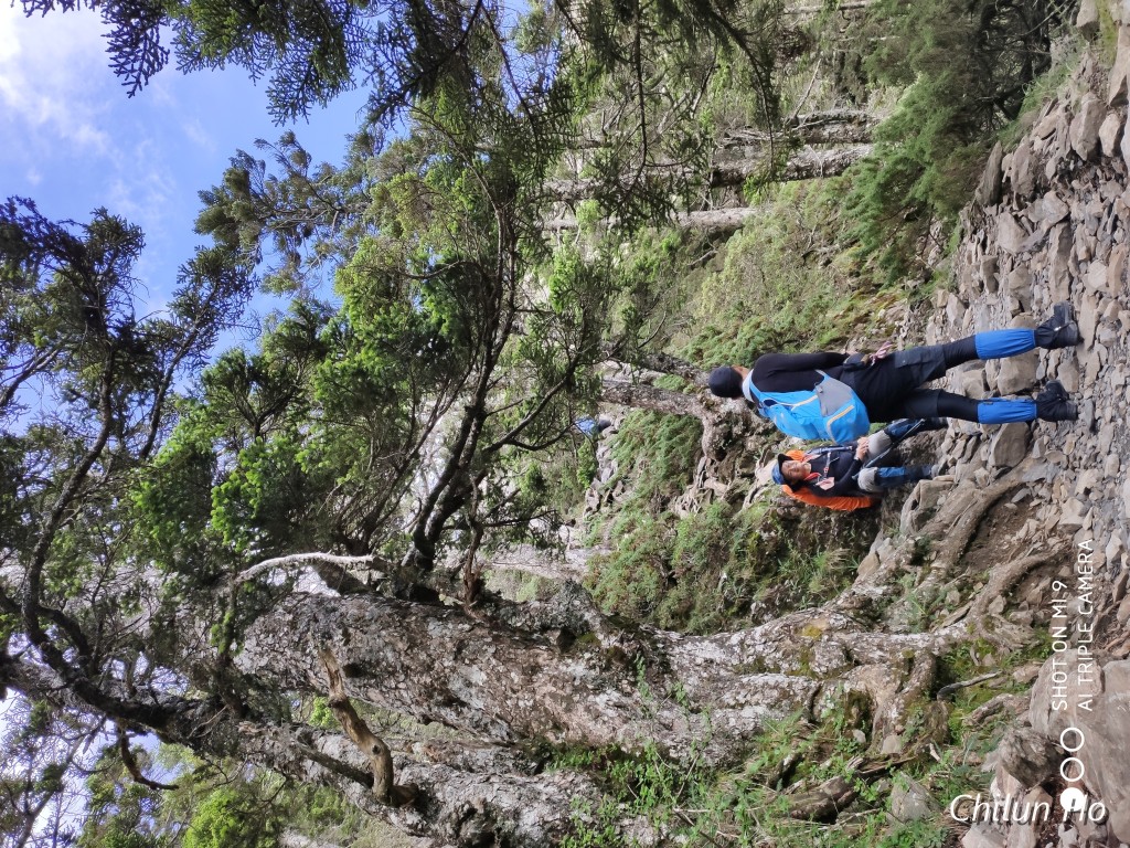 玉山步道