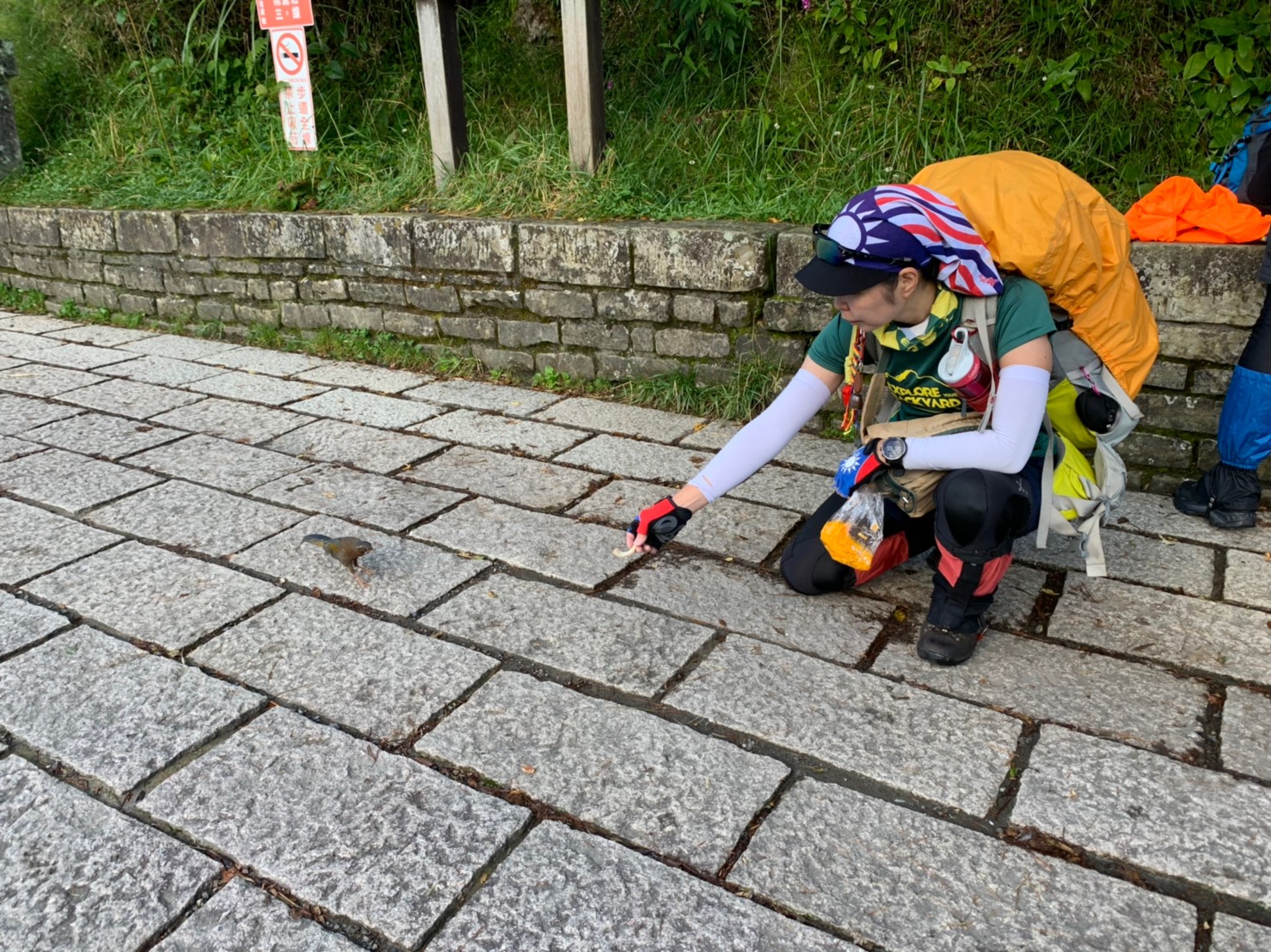 玉山後4峰-金_190802_0174
