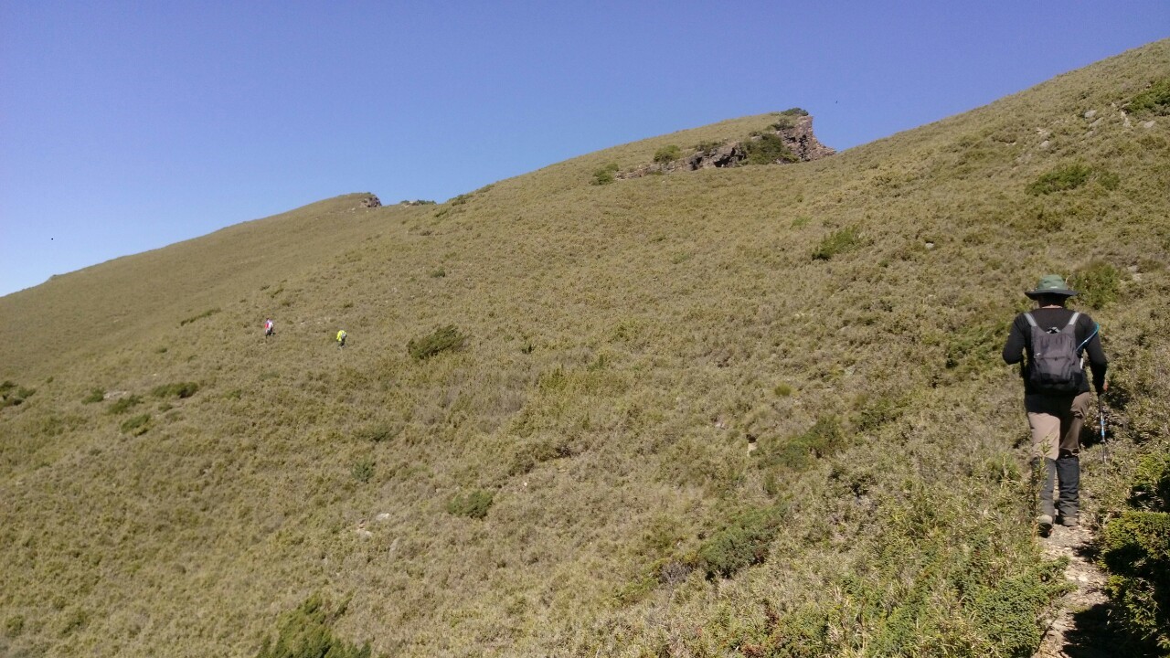 玉山後四峰（琇怡）_190803_0028