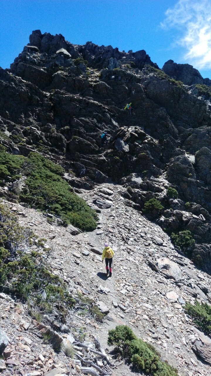 玉山後四峰（琇怡）_190803_0052