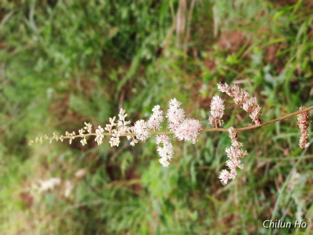 IMG_20190801_105914