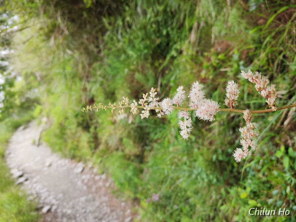 IMG_20190801_105926