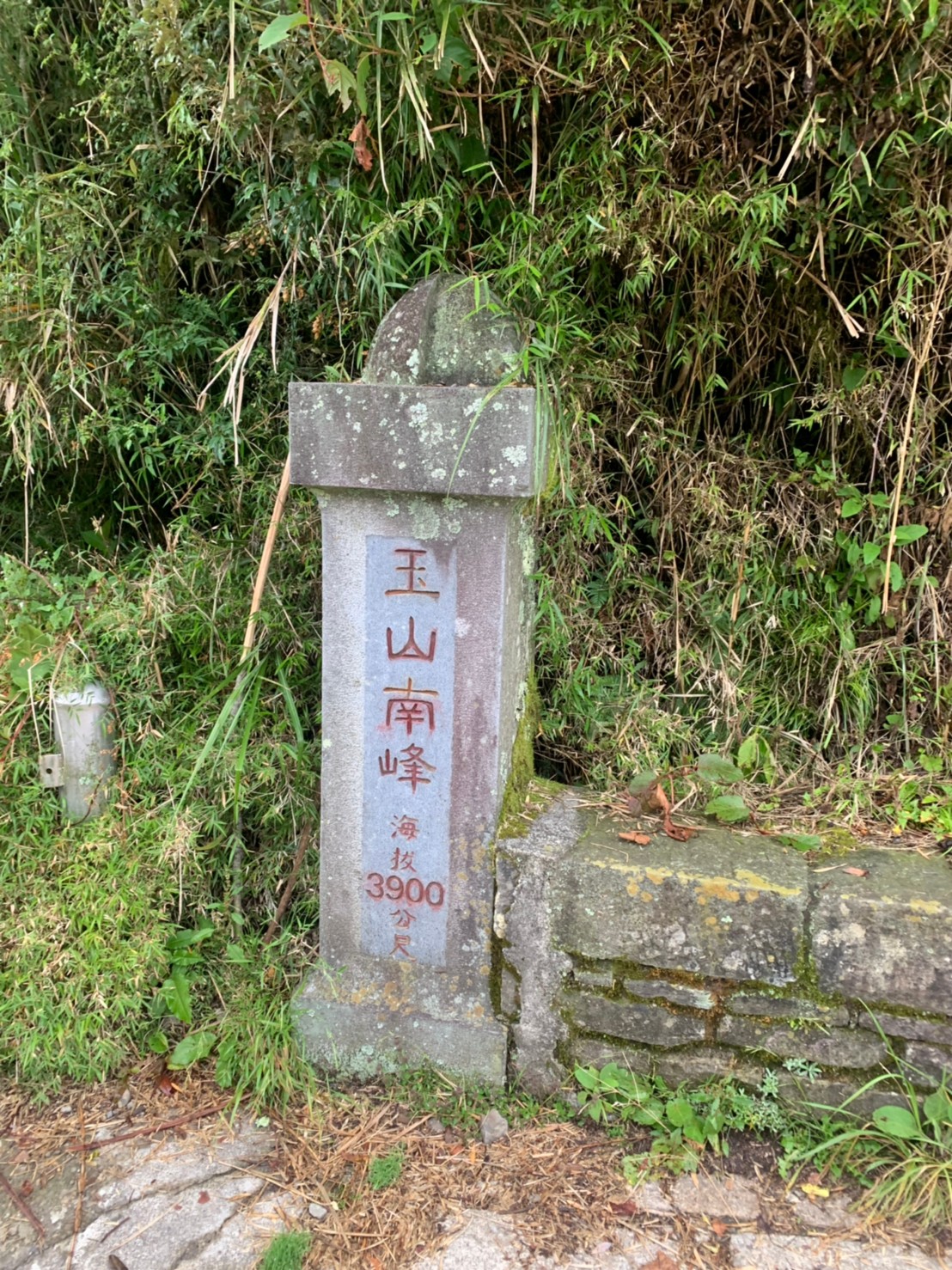 2020年30-31日攻頂玉山主峰_200801_43