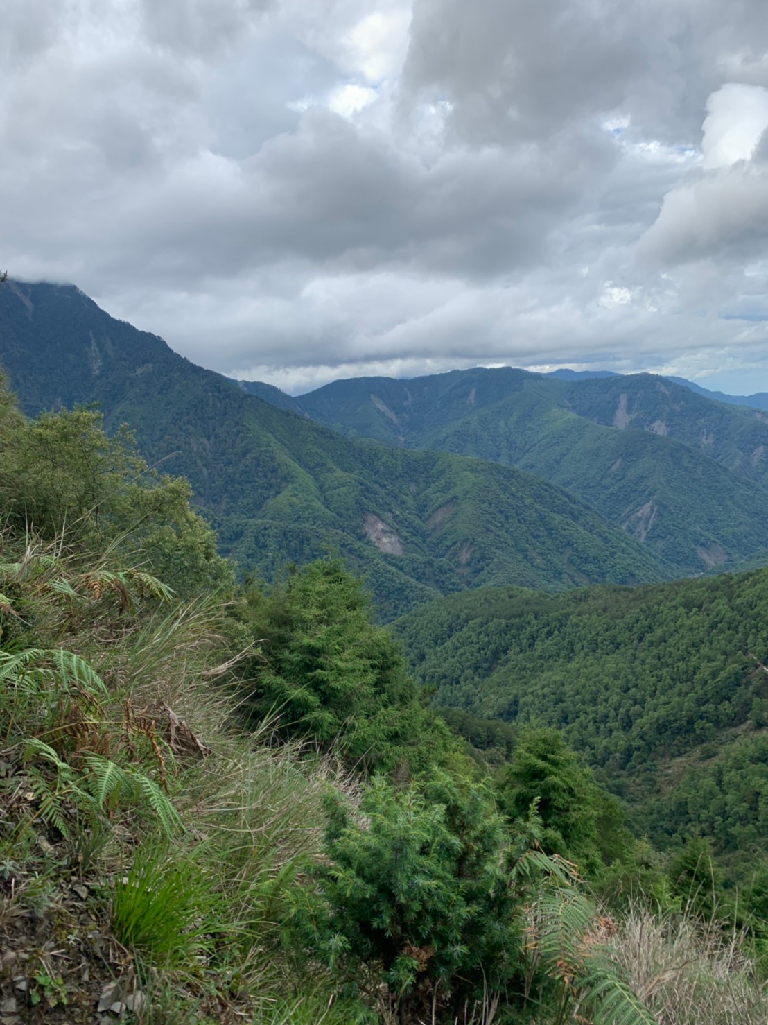 2020年30-31日攻頂玉山主峰_200801_49