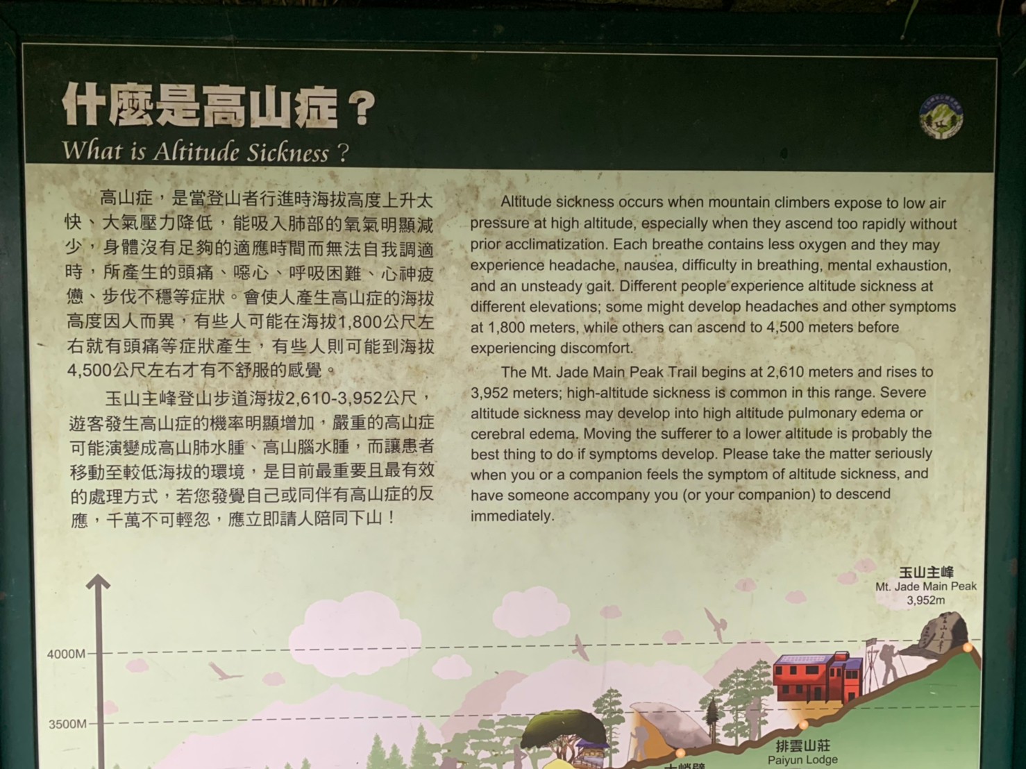 2020年30-31日攻頂玉山主峰_200801_55