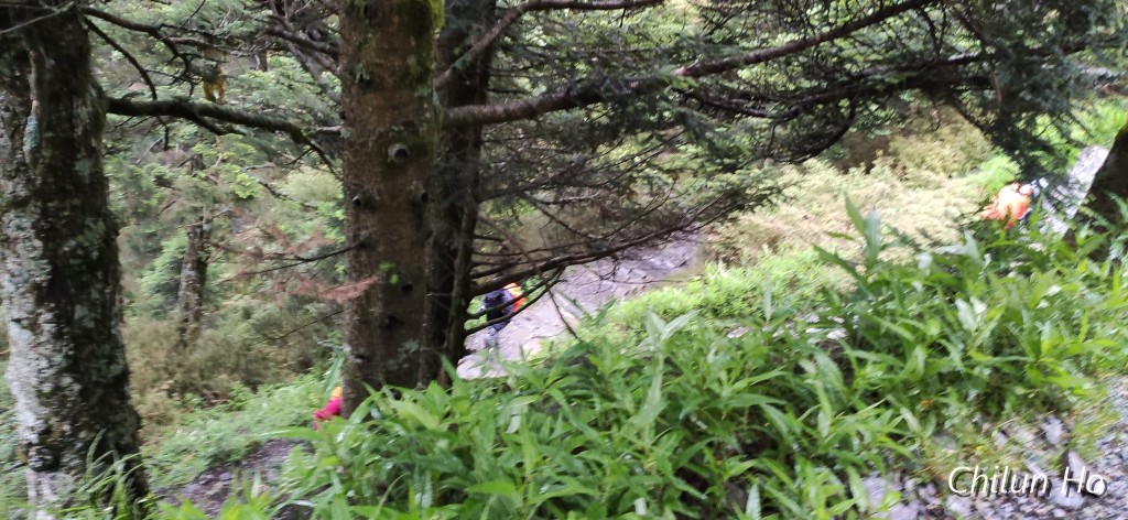 玉山步道