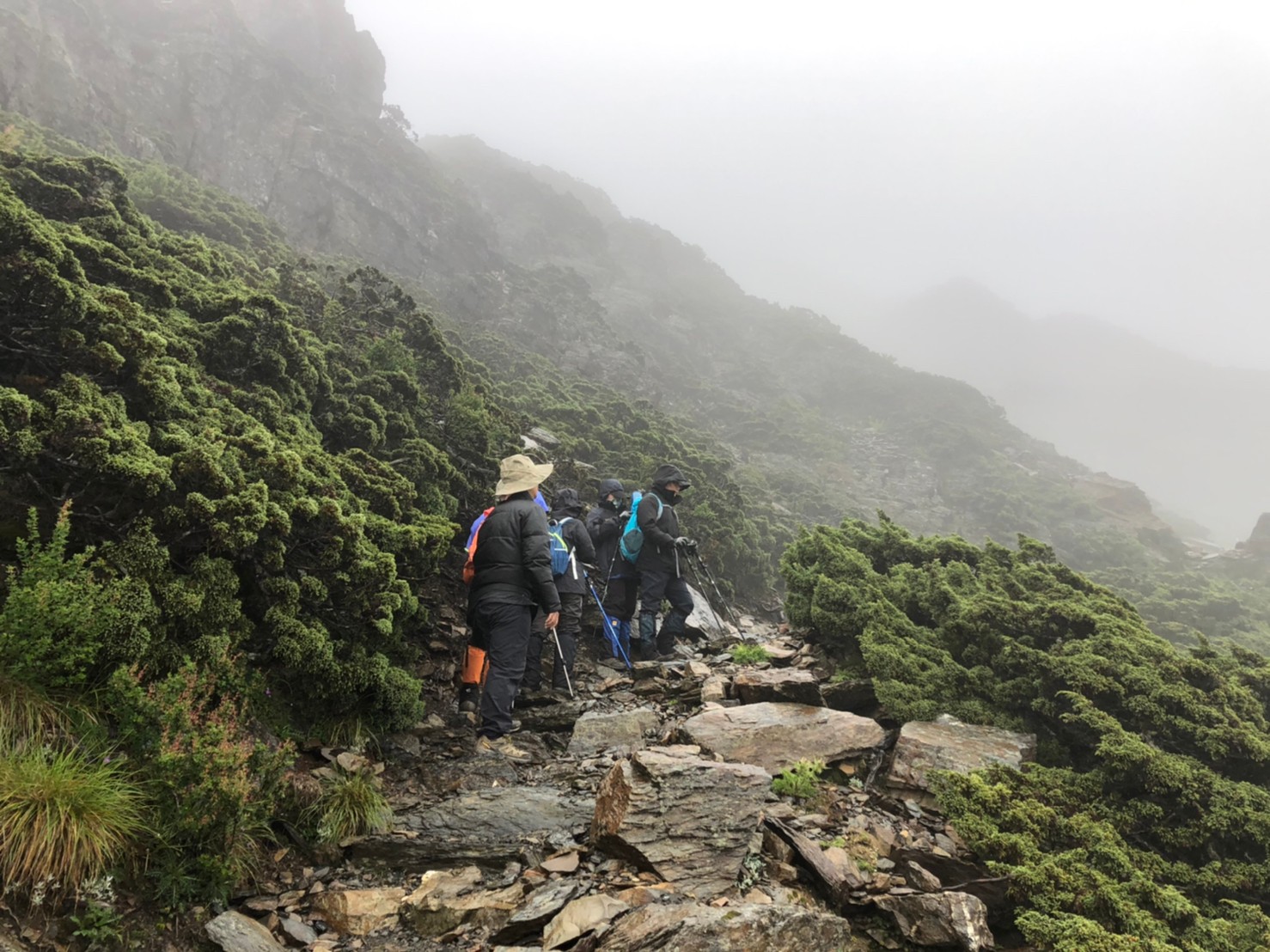 2020073031在厲陰濃霧淒風無苦雨的玉山（鄭公攝_200731_28