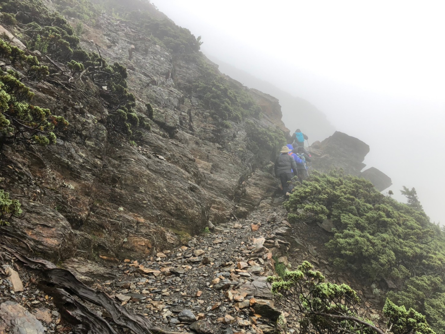2020073031在厲陰濃霧淒風無苦雨的玉山（鄭公攝_200731_32