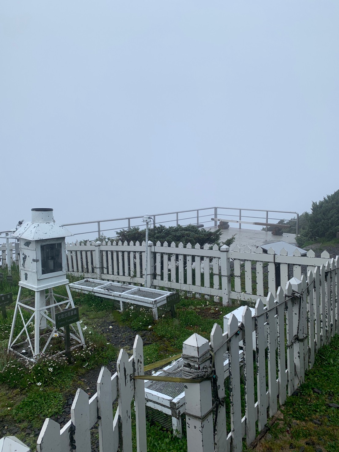 2020玉山主峰淒風苦雨登頂成功照片 2020/07/31