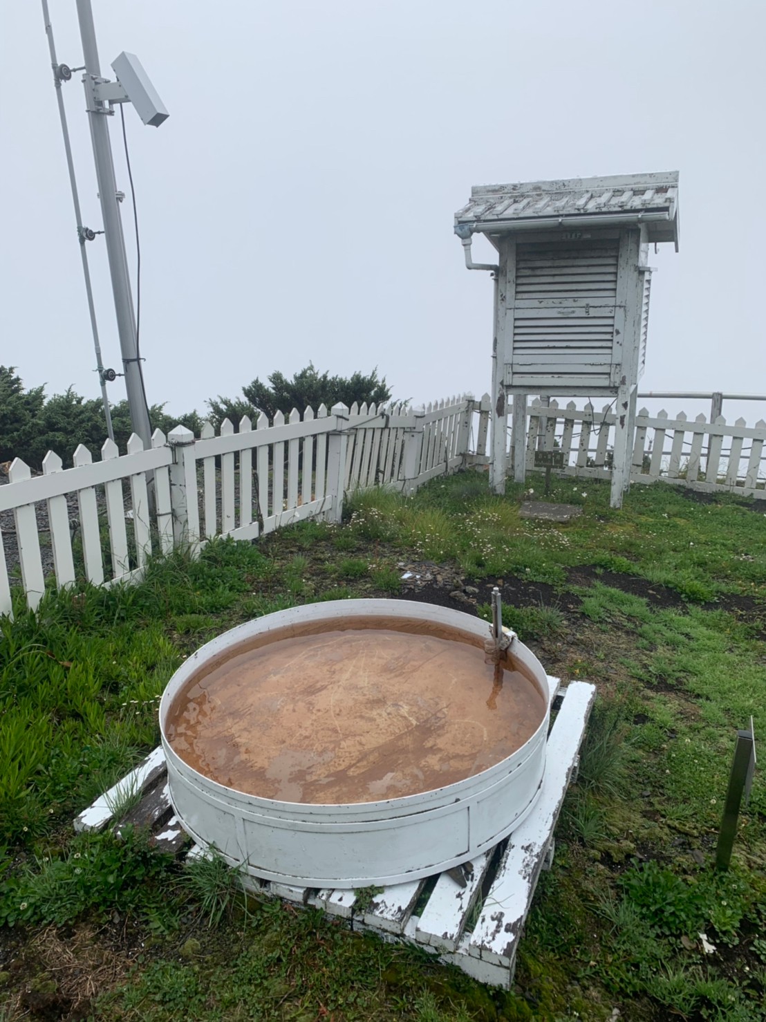 2020玉山主峰淒風苦雨登頂成功照片 2020/07/31