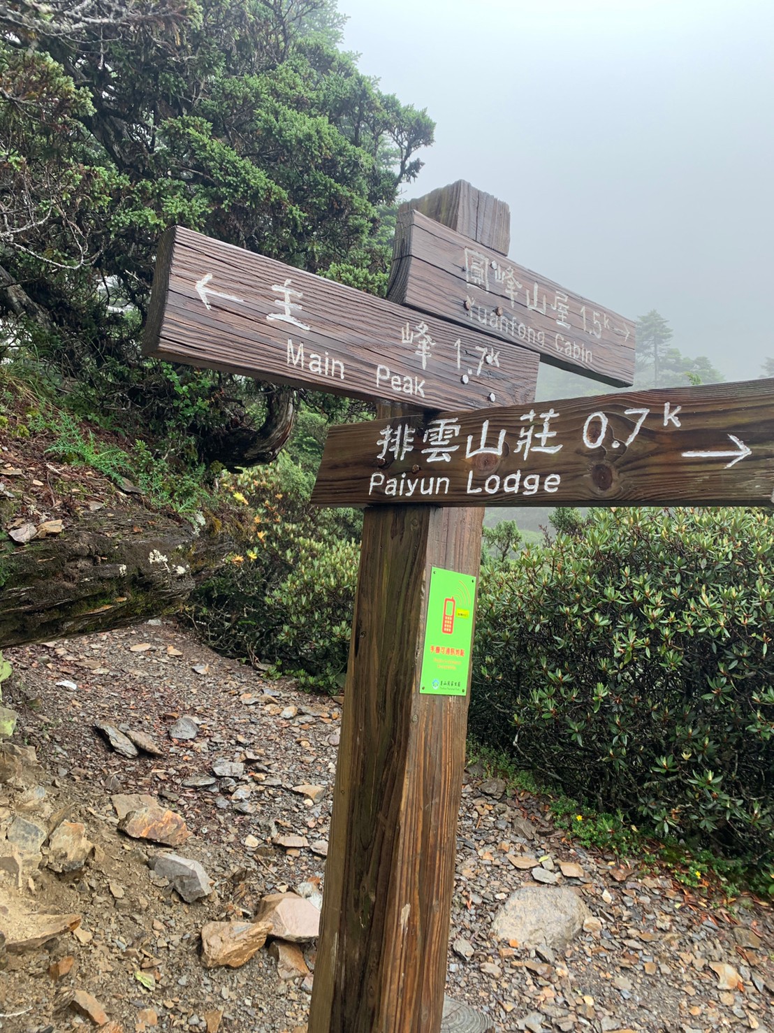 2020年30-31日攻頂玉山主峰_200801_230