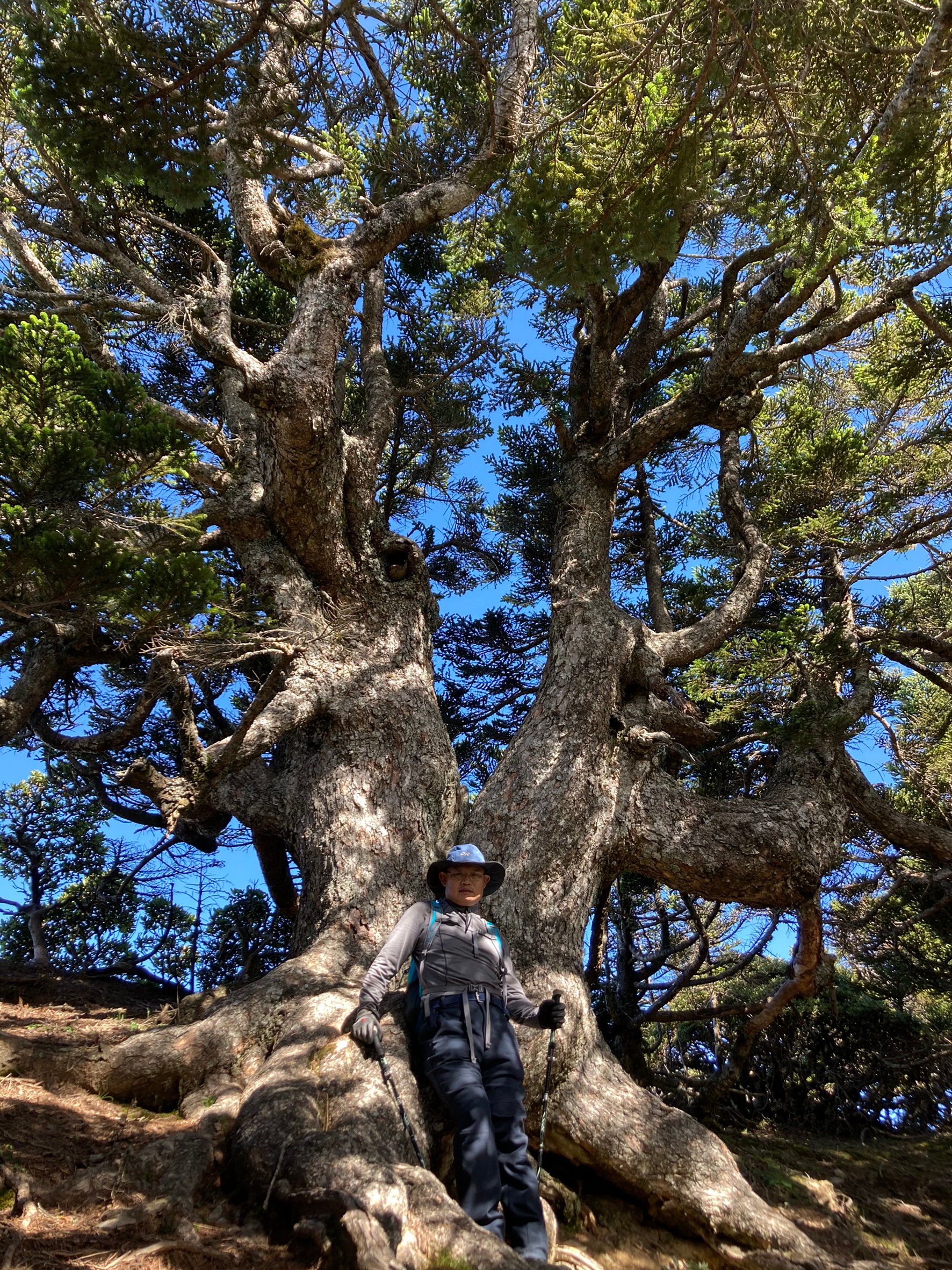 2020_41.08.31玉山北峰-玉山北北峰_200901