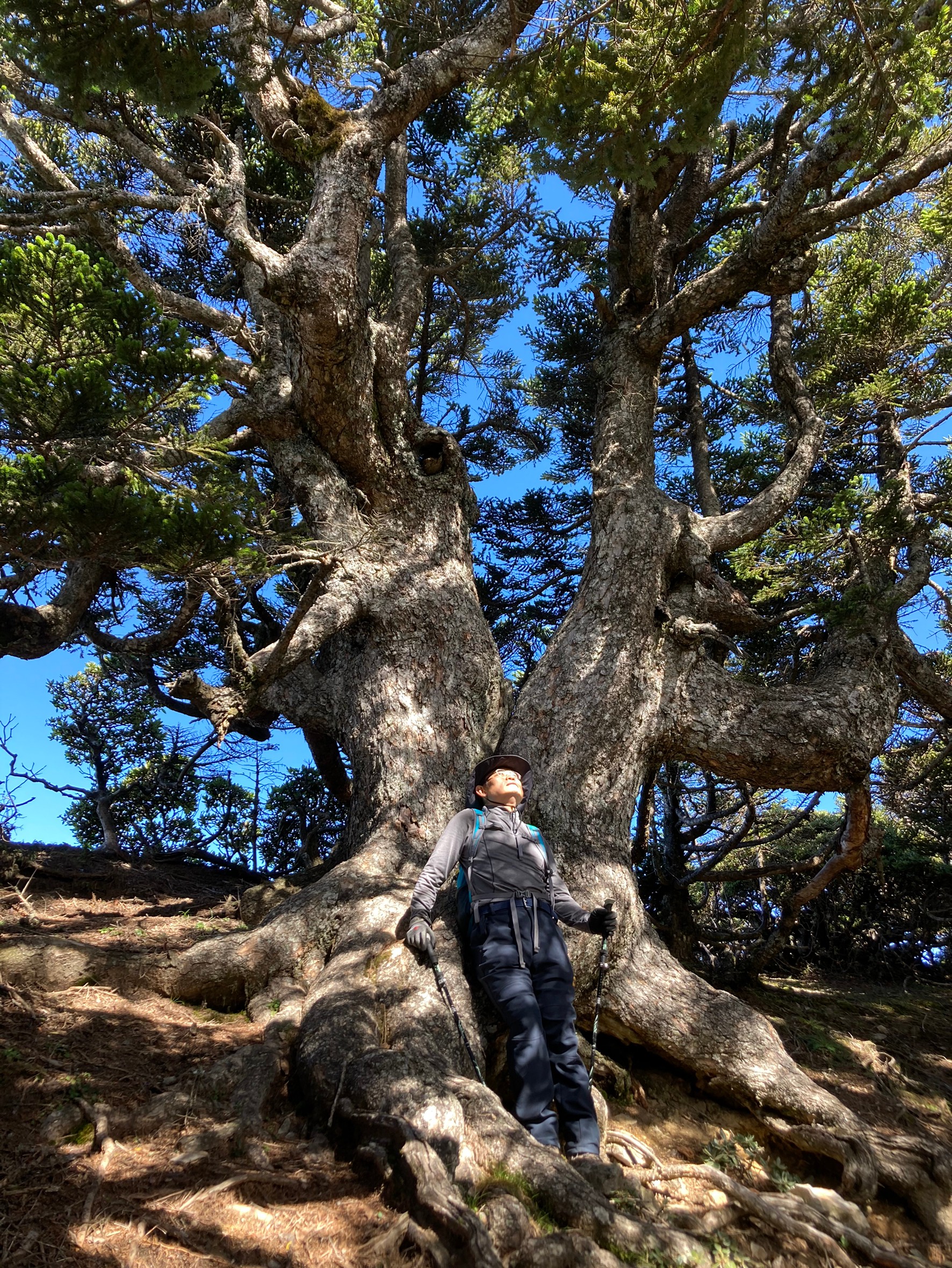 2020_42.08.31玉山北峰-玉山北北峰_200901