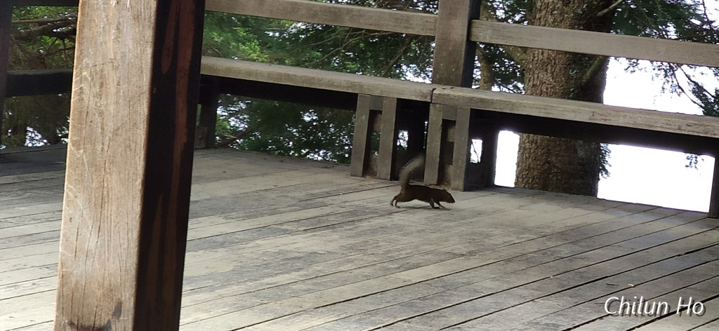 玉山西峰步道