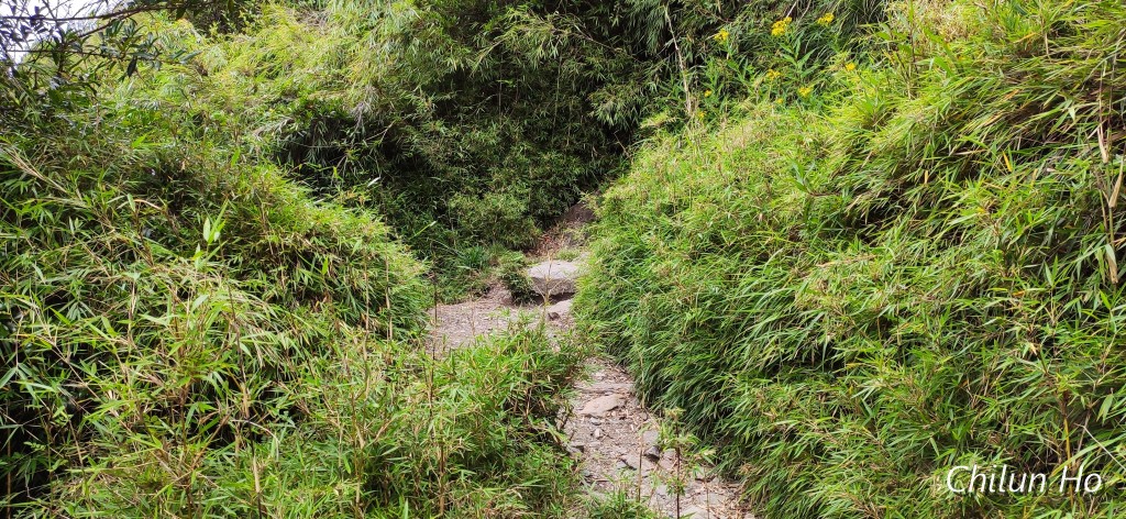 玉山步道