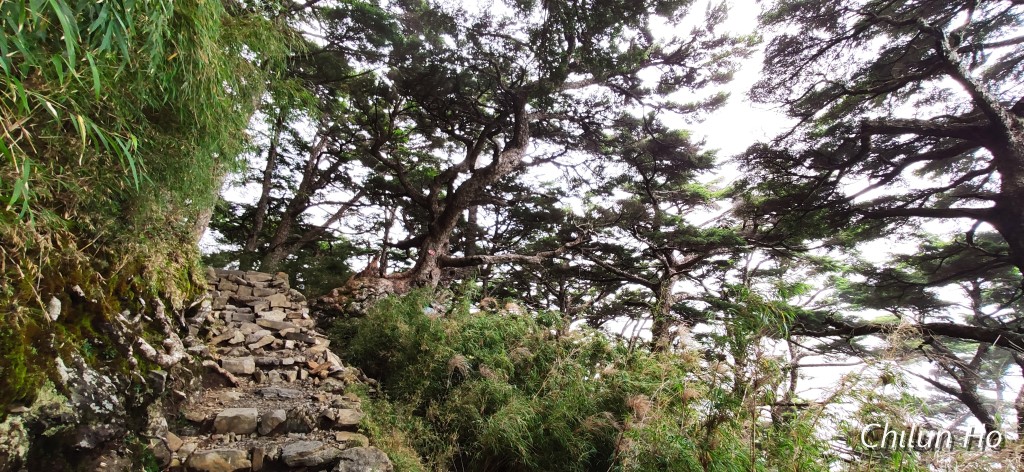 玉山步道