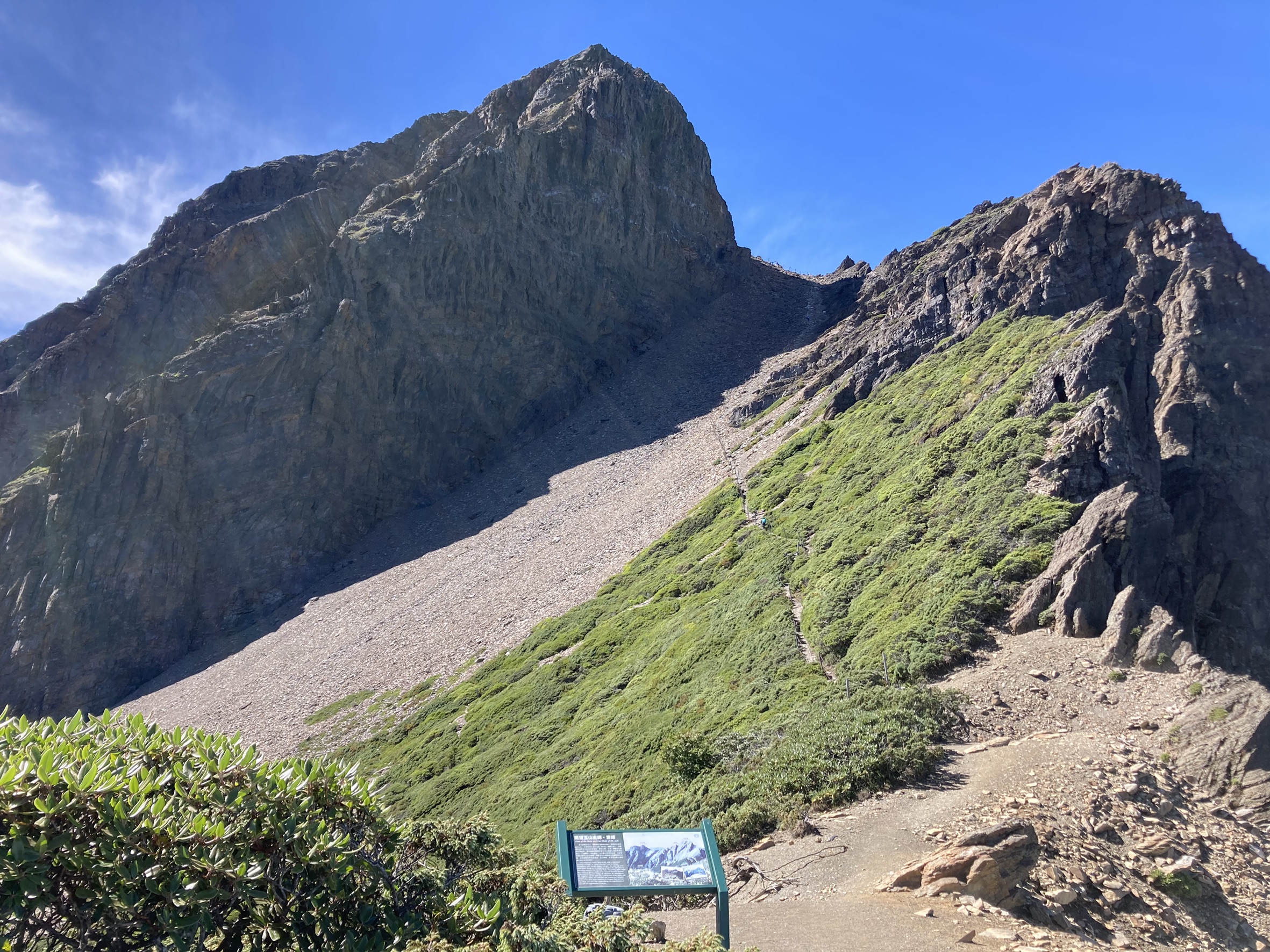 S__65364006