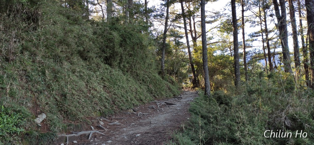 玉山步道