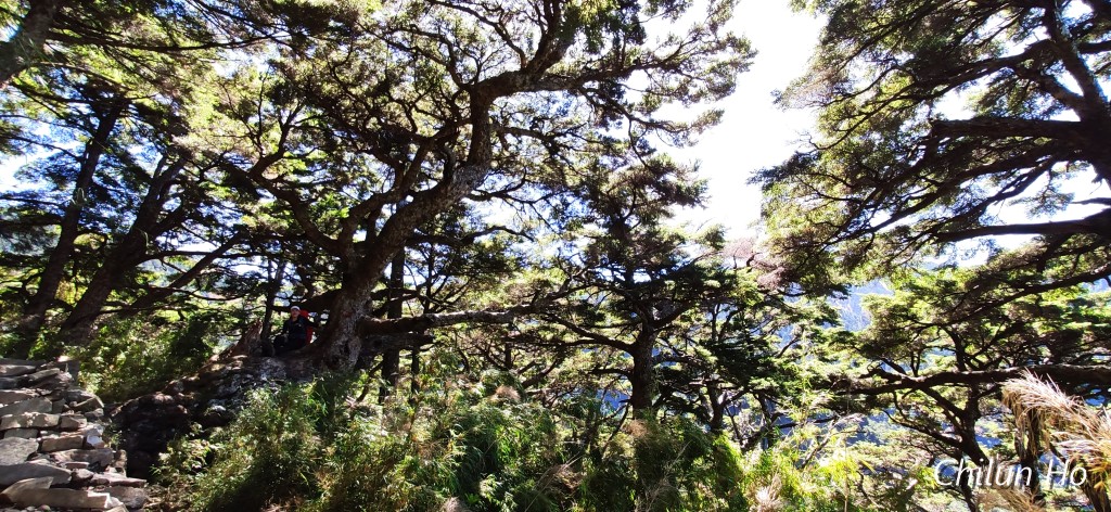 玉山步道
