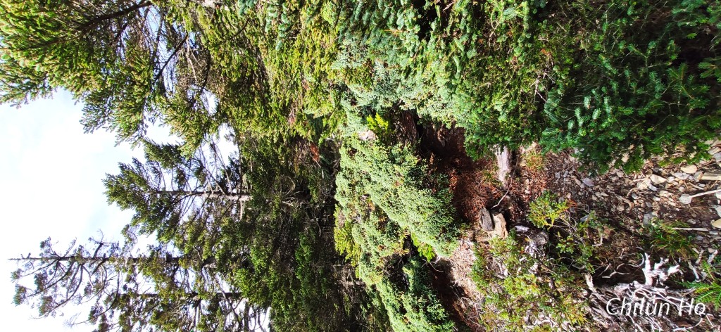IMG_20200919_072300