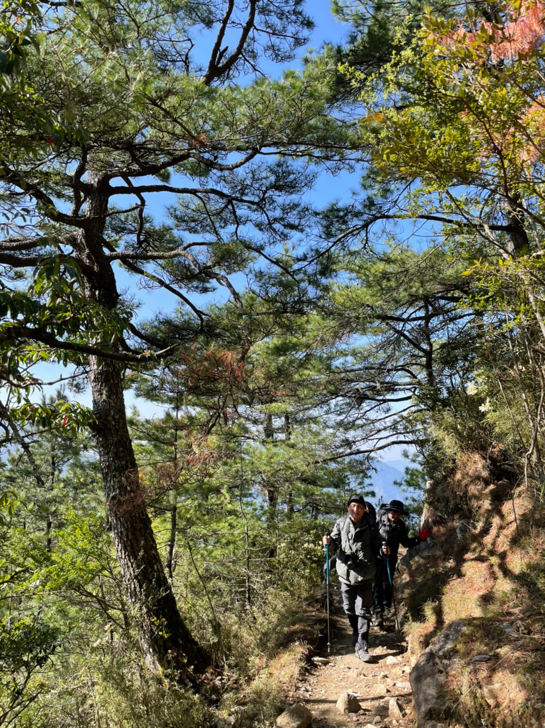20210325-27玉山春夢綿綿（照斌攝_210328_19