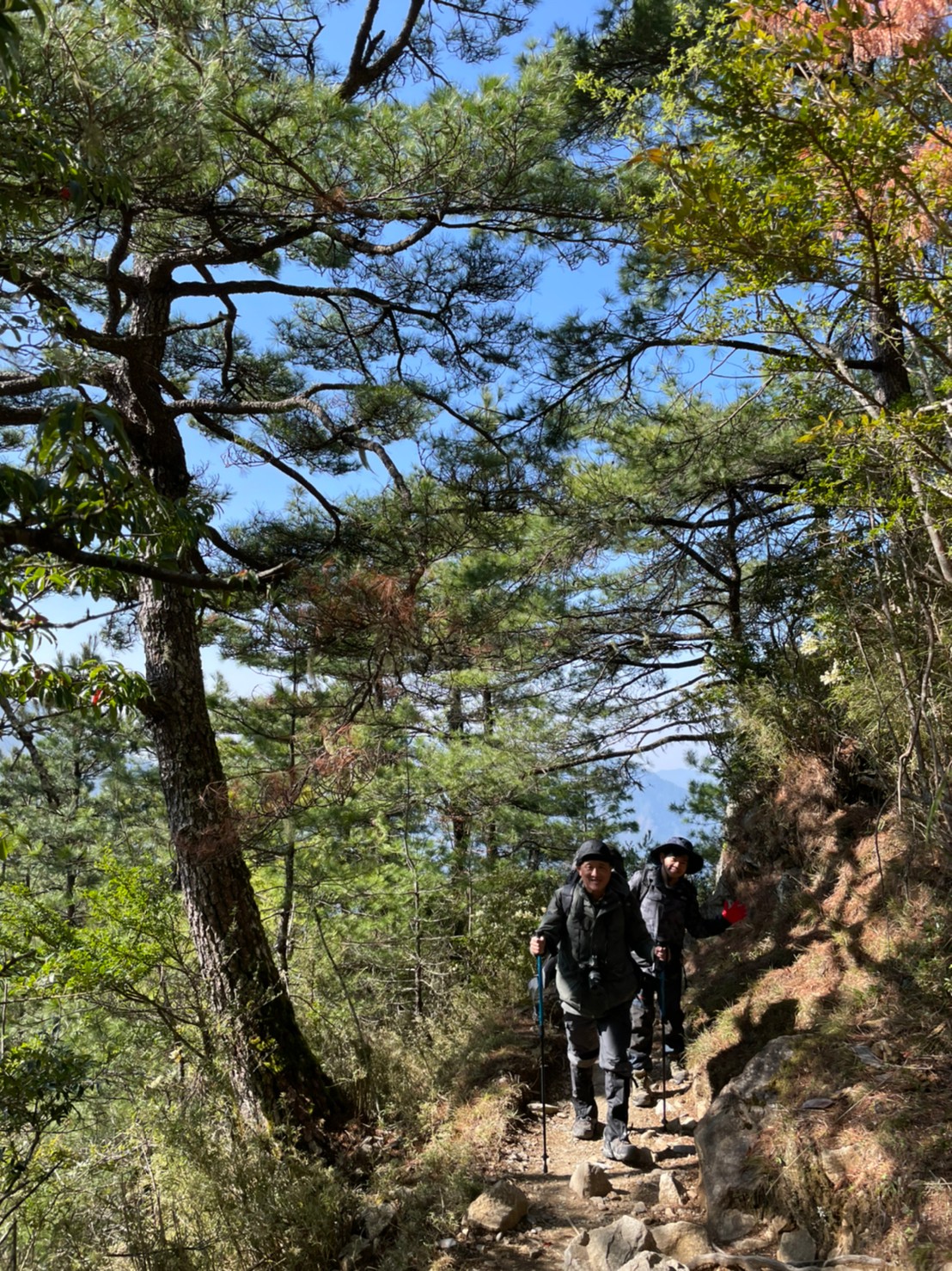 20210325-27玉山春夢綿綿（照斌攝_210328_20